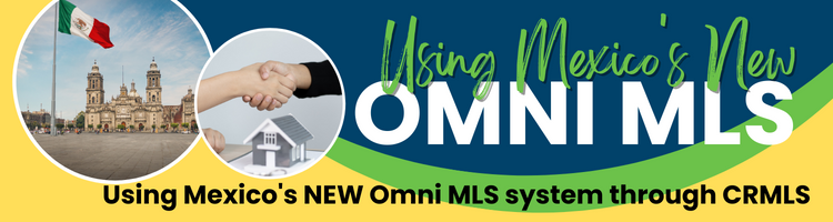 OMNI MLS, Mexico's MLS